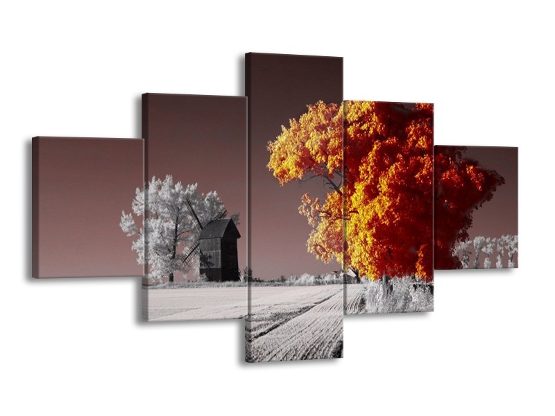 Canvas schilderij Natuur | Geel, Grijs, Wit | 125x70cm 5Luik