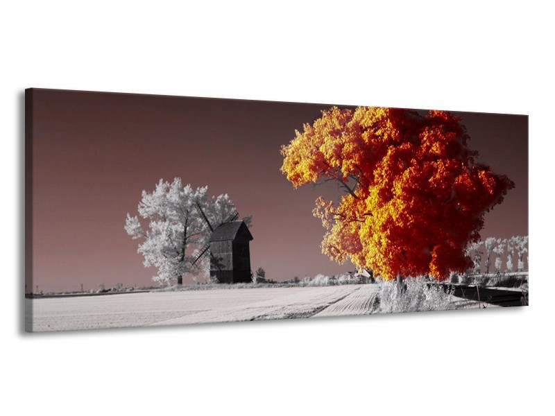 Canvas schilderij Natuur | Geel, Grijs, Wit | 145x58cm 1Luik