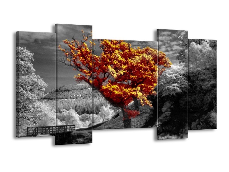 Canvas schilderij Boom | Oranje, Grijs, Wit | 120x65 5Luik