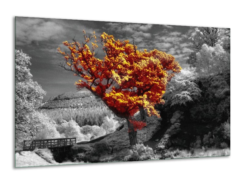 Canvas schilderij Boom | Oranje, Grijs, Wit | 120x70cm 1Luik