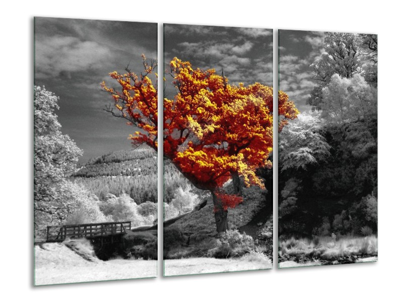 Canvas schilderij Boom | Oranje, Grijs, Wit | 120x80cm 3Luik