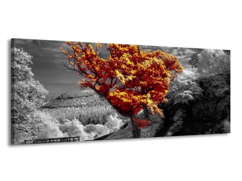 Canvas schilderij Boom | Oranje, Grijs, Wit | 145x58cm 1Luik
