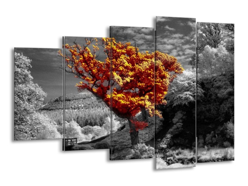 Canvas schilderij Boom | Oranje, Grijs, Wit | 150x100cm 5Luik