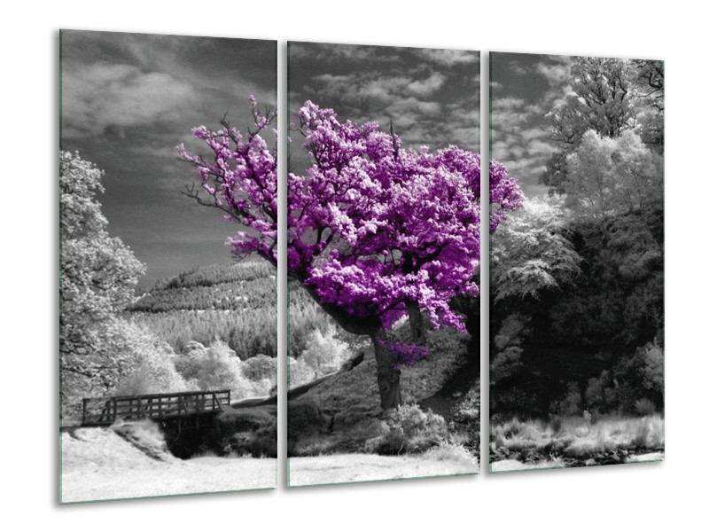 Canvas schilderij Boom | Grijs, Paars, Wit | 120x80cm 3Luik