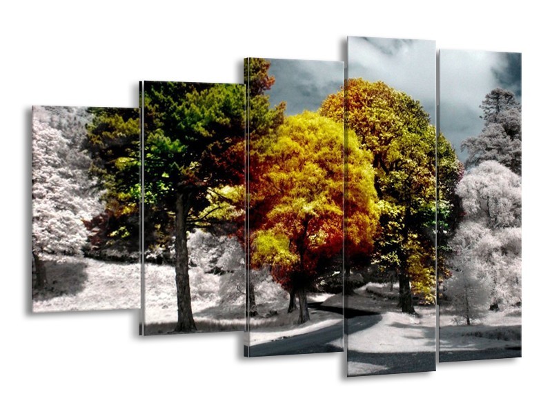 Canvas schilderij Boom | Groen, Geel, Wit | 150x100cm 5Luik