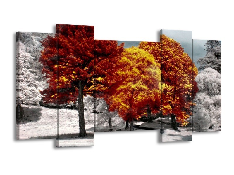 Canvas schilderij Natuur | Geel, Oranje, Wit | 120x65 5Luik