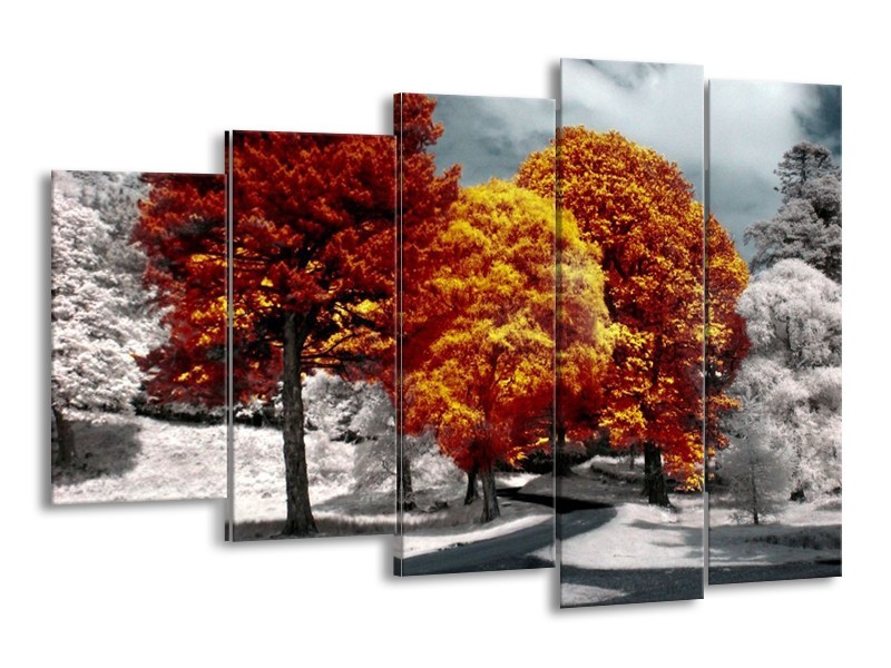 Canvas schilderij Natuur | Geel, Oranje, Wit | 150x100cm 5Luik