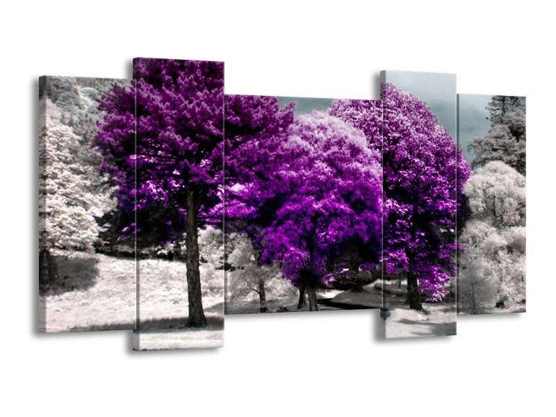 Canvas schilderij Natuur | Paars, Wit, Grijs | 120x65 5Luik