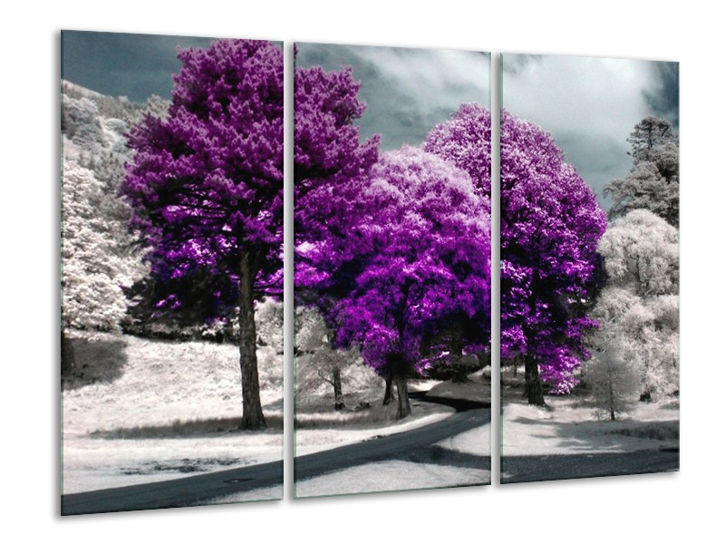 Canvas schilderij Natuur | Paars, Wit, Grijs | 120x80cm 3Luik