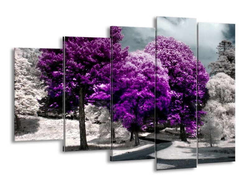 Canvas schilderij Natuur | Paars, Wit, Grijs | 150x100cm 5Luik