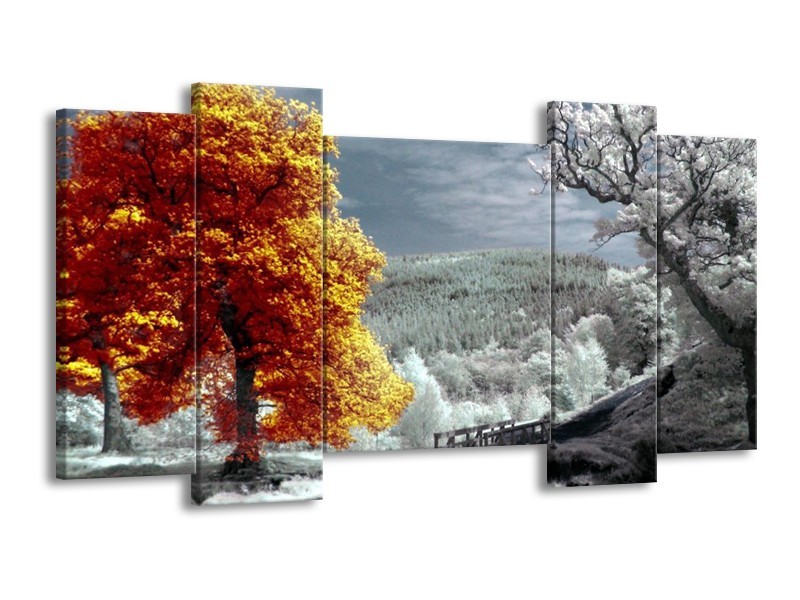 Canvas schilderij Natuur | Oranje, Wit, Grijs | 120x65 5Luik