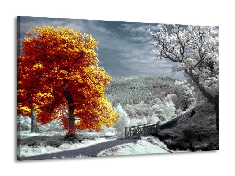 Canvas schilderij Natuur | Oranje, Wit, Grijs | 140x90cm 1Luik