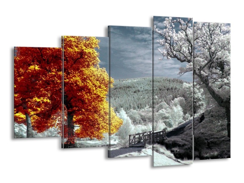 Canvas schilderij Natuur | Oranje, Wit, Grijs | 150x100cm 5Luik
