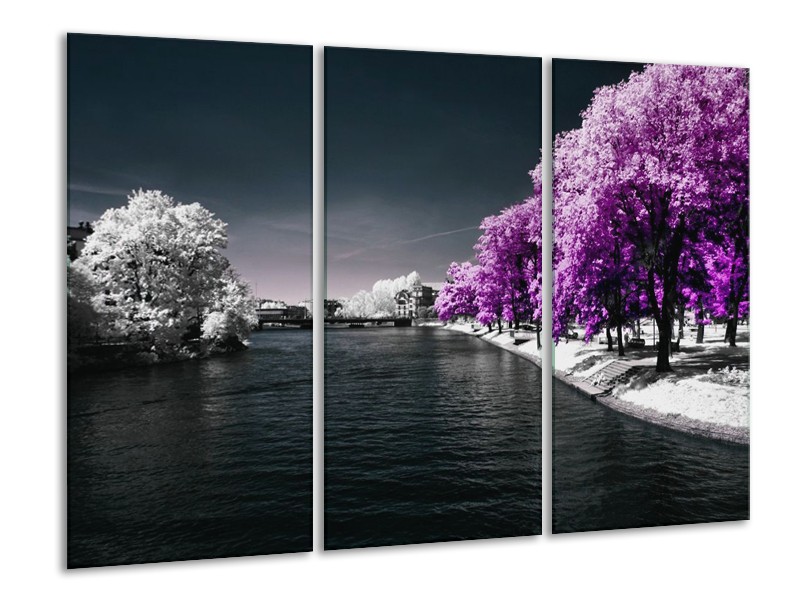 Canvas schilderij Natuur | Paars, Wit, Grijs | 120x80cm 3Luik
