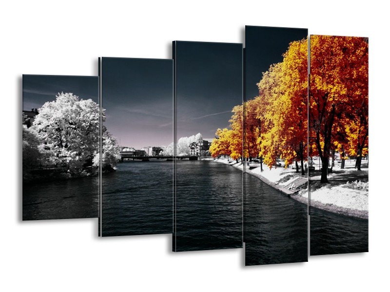 Canvas schilderij Natuur | Oranje, Wit, Grijs | 150x100cm 5Luik