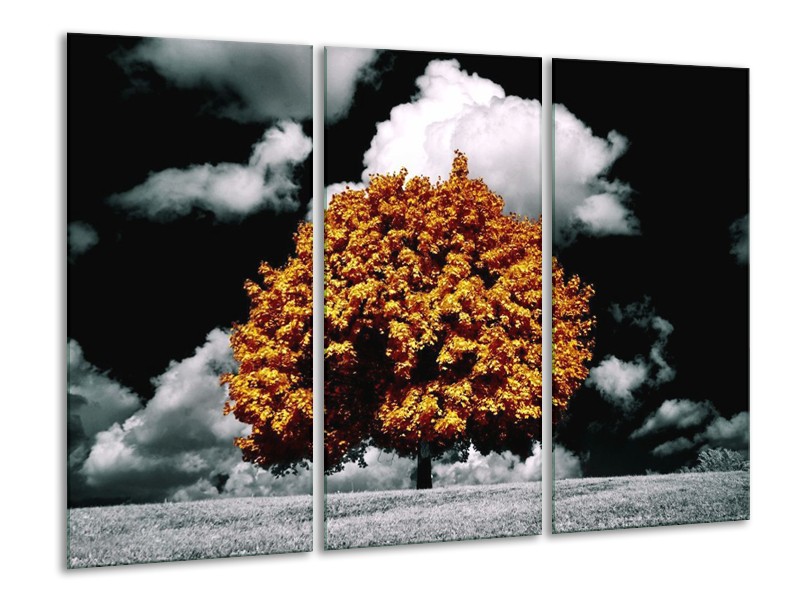 Canvas schilderij Natuur | Bruin, Grijs, Zwart | 120x80cm 3Luik