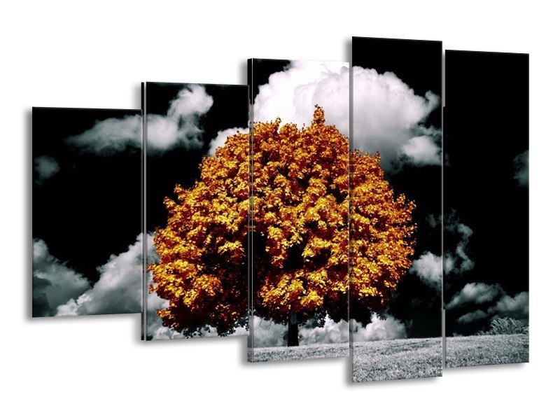 Canvas schilderij Natuur | Bruin, Grijs, Zwart | 150x100cm 5Luik