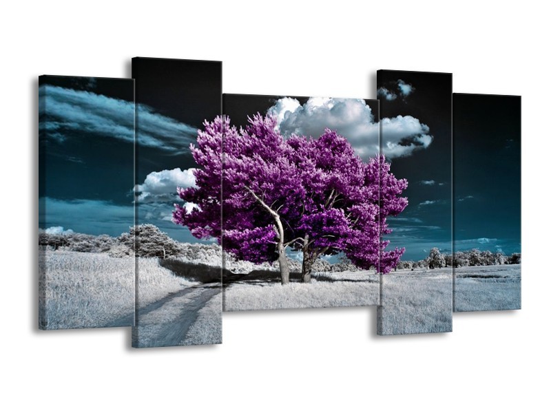 Canvas schilderij Natuur | Paars, Blauw, Wit | 120x65 5Luik