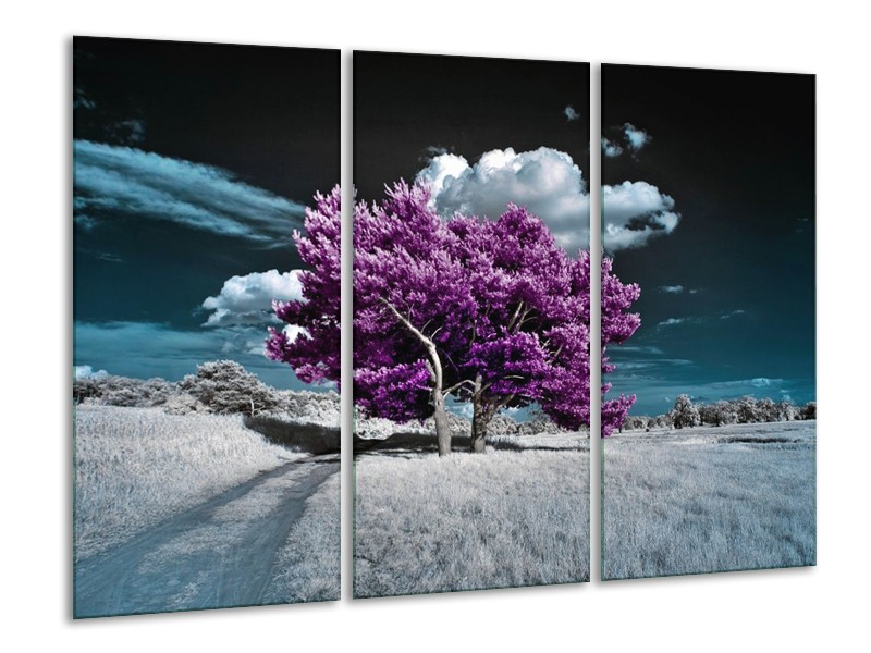Canvas schilderij Natuur | Paars, Blauw, Wit | 120x80cm 3Luik