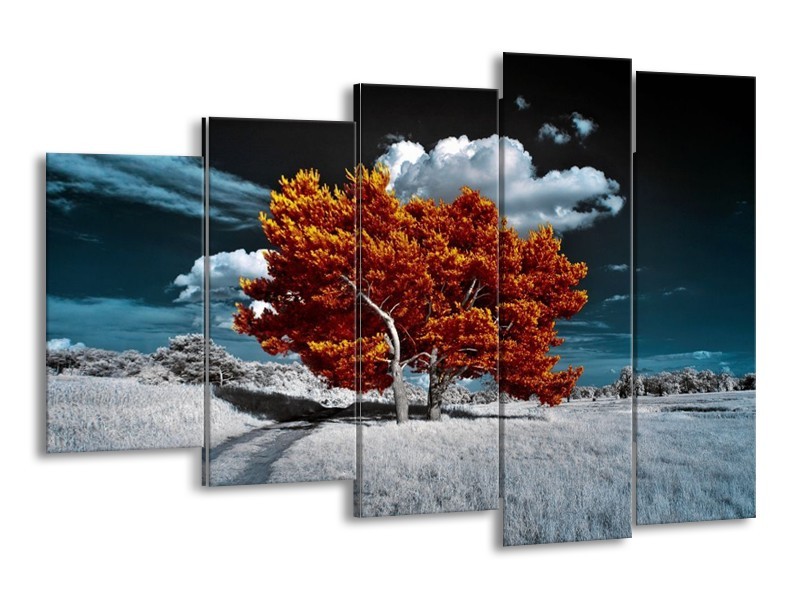 Canvas schilderij Natuur | Bruin, Wit, Grijs | 150x100cm 5Luik