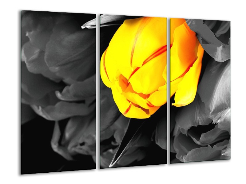 Canvas schilderij Tulp | Geel, Grijs, Zwart | 120x80cm 3Luik