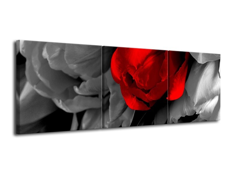 Canvas schilderij Tulp | Rood, Grijs, Zwart | 120x40cm 3Luik