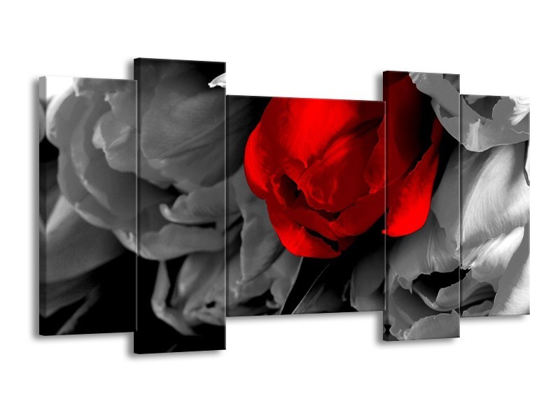 Canvas schilderij Tulp | Rood, Grijs, Zwart | 120x65 5Luik