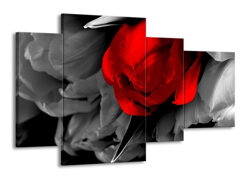 Canvas schilderij Tulp | Rood, Grijs, Zwart | 120x75cm 4Luik