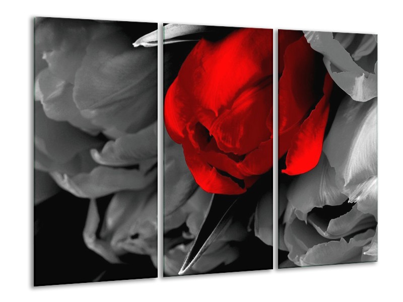 Canvas schilderij Tulp | Rood, Grijs, Zwart | 120x80cm 3Luik