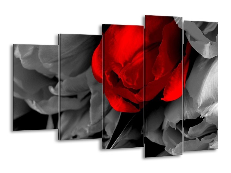 Canvas schilderij Tulp | Rood, Grijs, Zwart | 150x100cm 5Luik