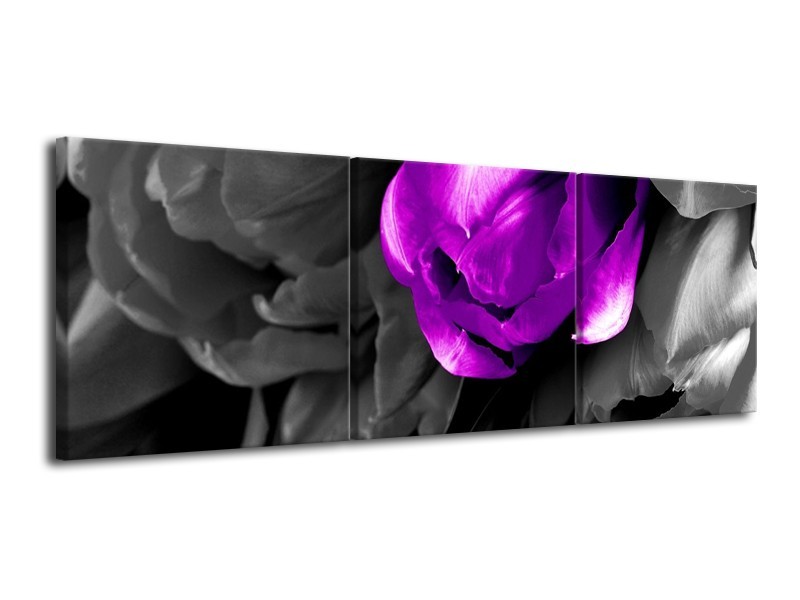 Canvas schilderij Tulp | Paars, Grijs, Zwart | 120x40cm 3Luik