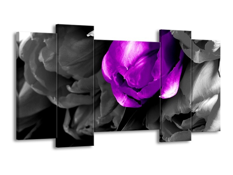Canvas schilderij Tulp | Paars, Grijs, Zwart | 120x65 5Luik