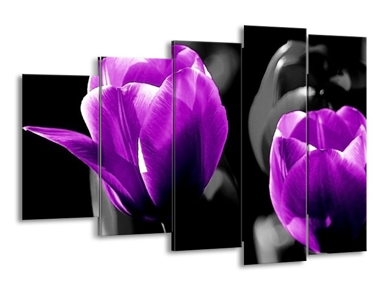 Canvas schilderij Tulp | Paars, Grijs, Zwart | 150x100cm 5Luik