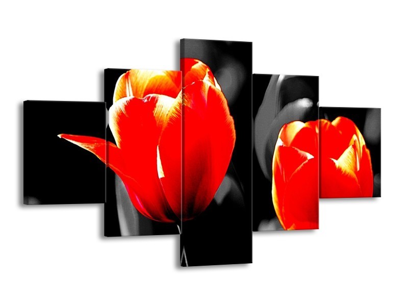 Canvas schilderij Tulp | Rood, Grijs, Zwart | 125x70cm 5Luik