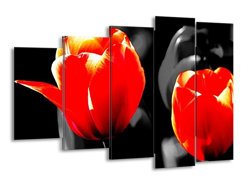 Canvas schilderij Tulp | Rood, Grijs, Zwart | 150x100cm 5Luik