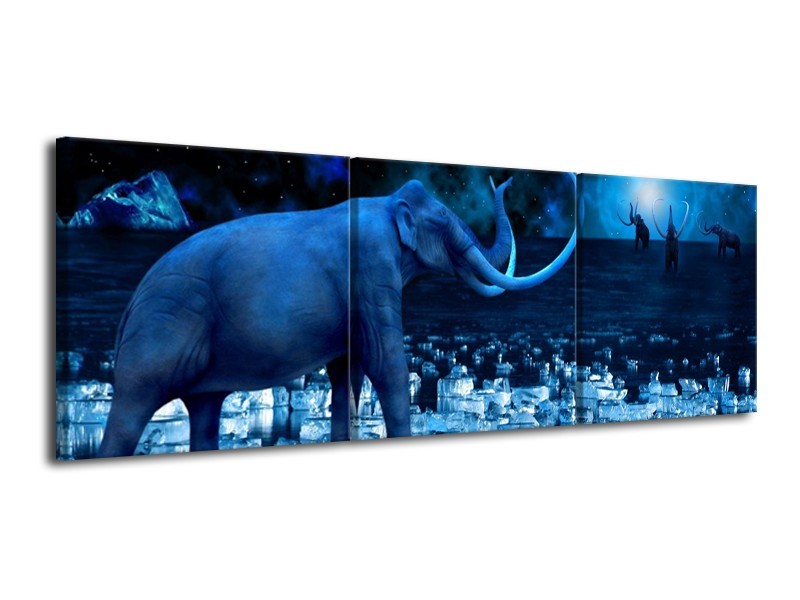 Glas schilderij Olifant | Blauw, Wit, Zwart | 120x40cm 3Luik