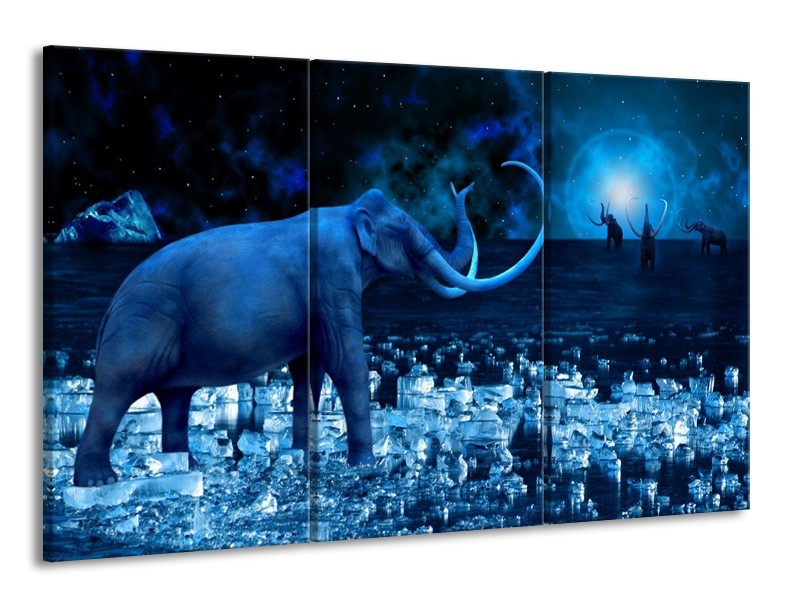 Glas schilderij Olifant | Blauw, Wit, Zwart | 165x100cm 3Luik