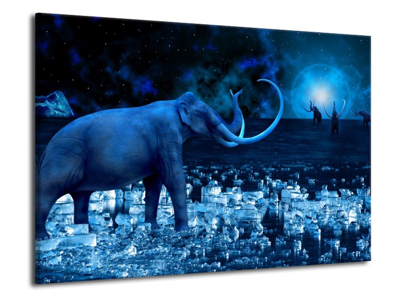 Glas schilderij Olifant | Blauw, Wit, Zwart | 70x50cm 1Luik