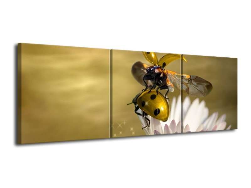 Canvas schilderij Natuur | Geel, Goud, Wit | 120x40cm 3Luik