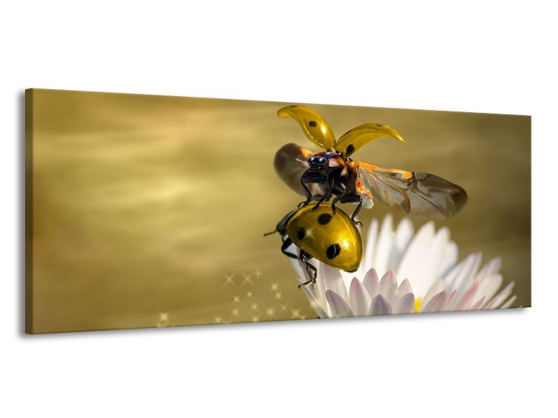 Glas schilderij Natuur | Geel, Goud, Wit | 145x58cm 1Luik