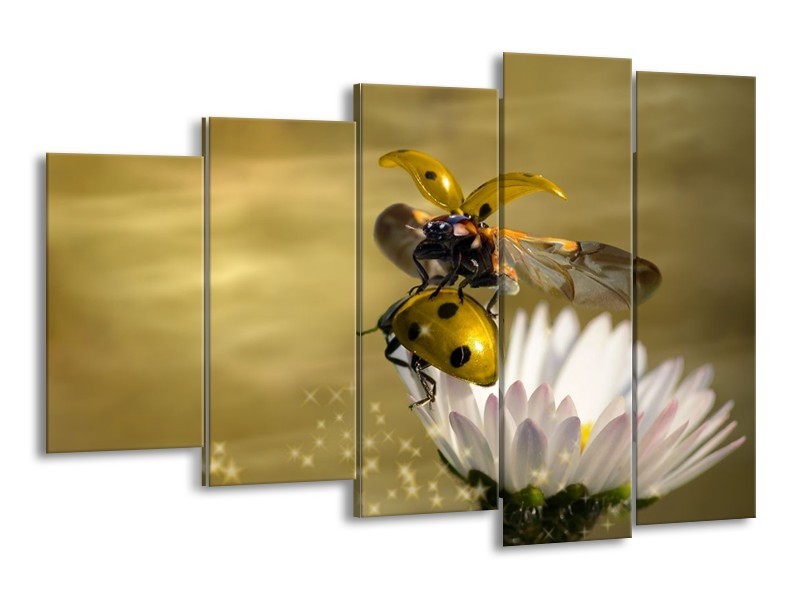 Glas schilderij Natuur | Geel, Goud, Wit | 150x100cm 5Luik