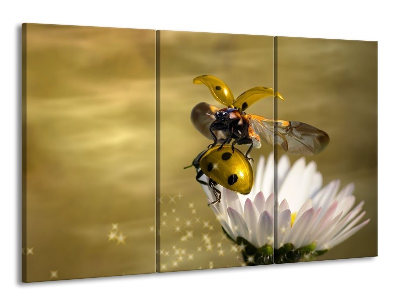 Canvas schilderij Natuur | Geel, Goud, Wit | 165x100cm 3Luik