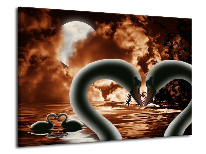 Canvas schilderij Vogels | Bruin, Wit, Zwart | 70x50cm 1Luik