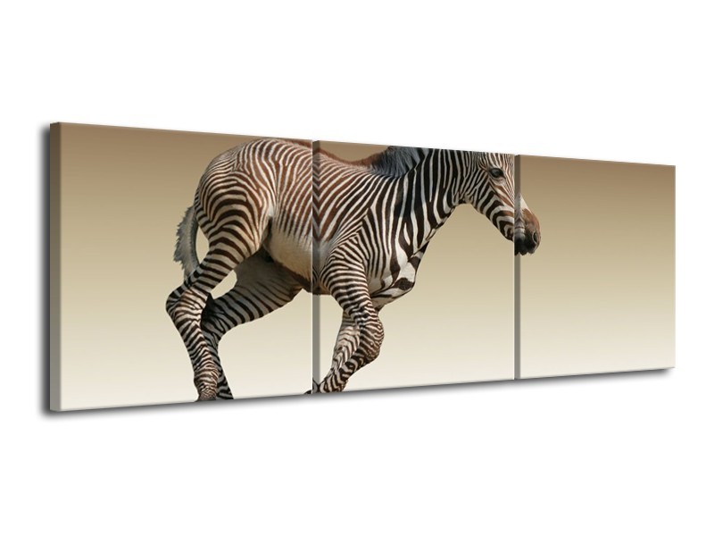 Canvas schilderij Zebra | Zwart, Wit, Bruin | 120x40cm 3Luik