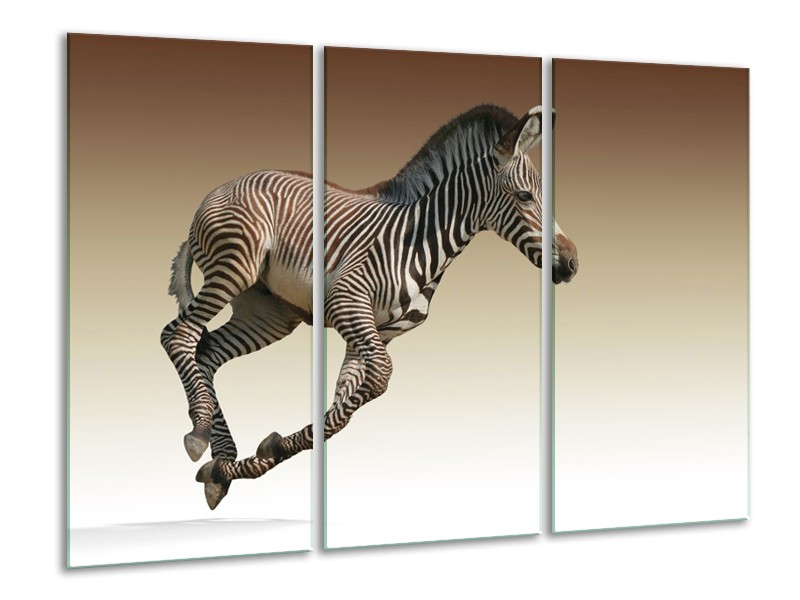Canvas schilderij Zebra | Zwart, Wit, Bruin | 120x80cm 3Luik