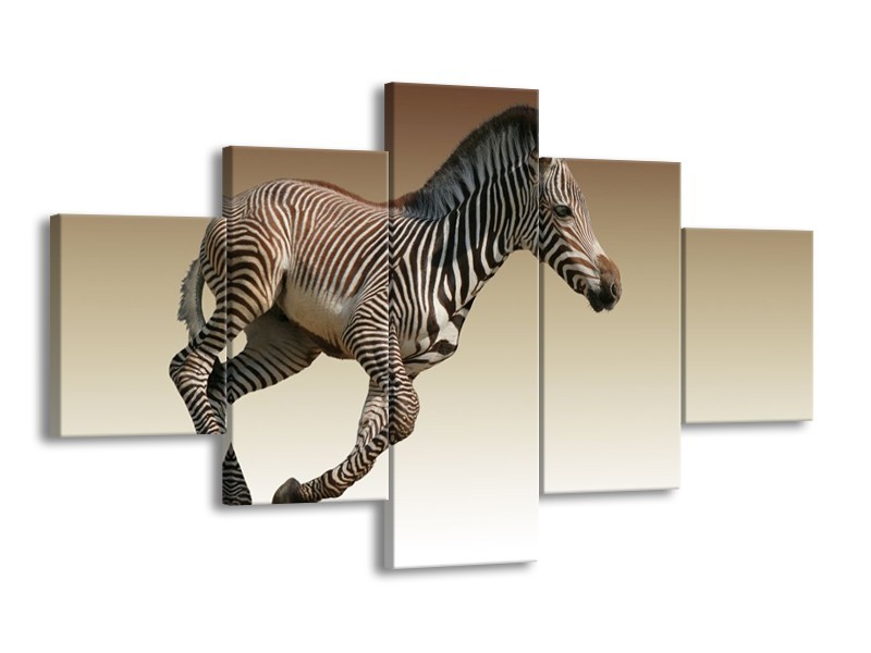 Canvas schilderij Zebra | Zwart, Wit, Bruin | 125x70cm 5Luik