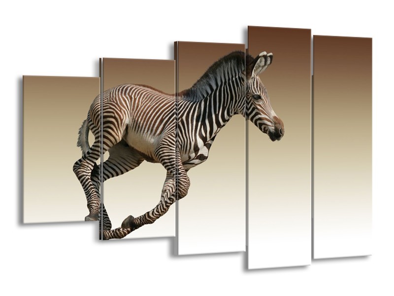 Glas schilderij Zebra | Zwart, Wit, Bruin | 150x100cm 5Luik