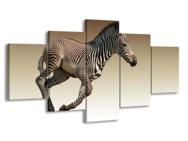 Canvas schilderij Zebra | Zwart, Wit, Bruin | 150x80cm 5Luik