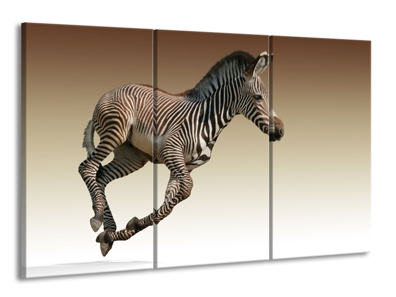 Canvas schilderij Zebra | Zwart, Wit, Bruin | 165x100cm 3Luik