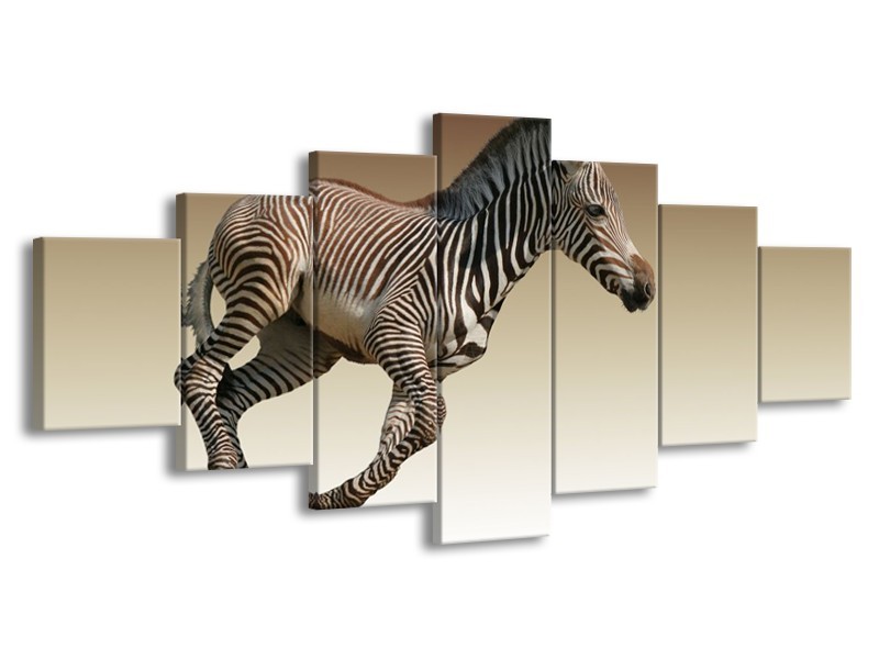 Canvas schilderij Zebra | Zwart, Wit, Bruin | 210x100cm 7Luik